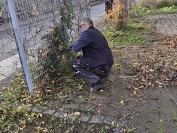 Herbstputz