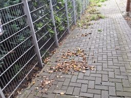 Herbstputz